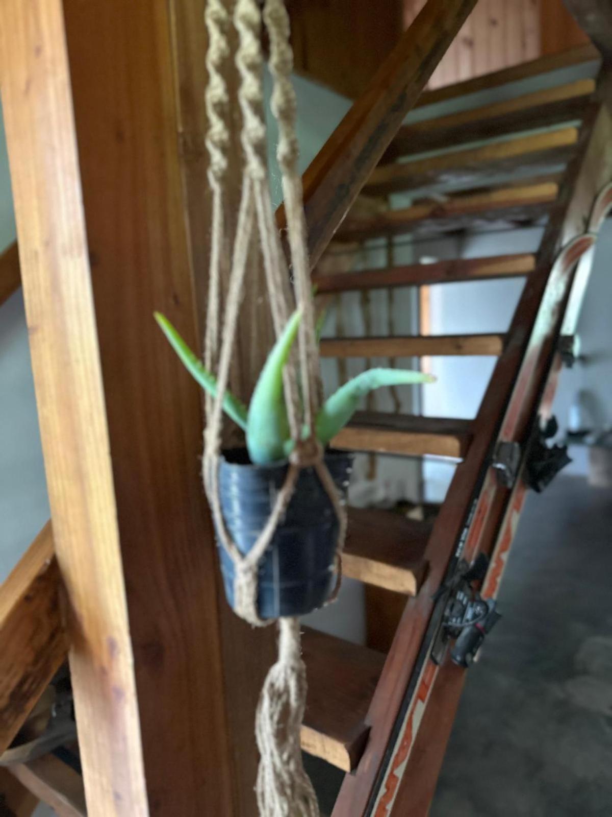 Shelter Patagonia Homestay El Bolson